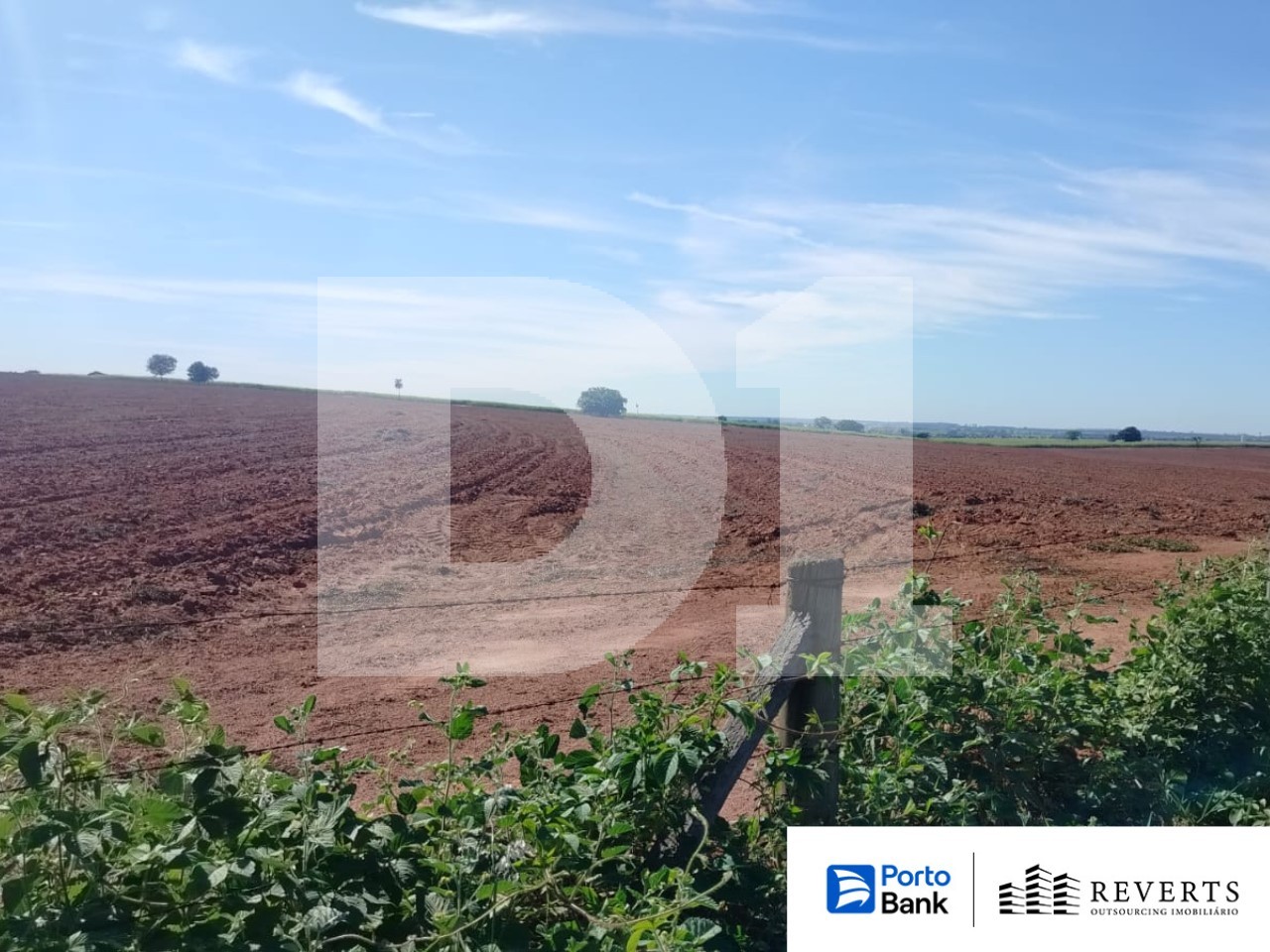 Imagem do imóvel Sítio Wilson Siriani - Tanabi/SP - Terreno - 6,0759 ha
